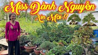 CÔ ĐÀNH | #0932865761 | ĐẶC SẢN SAM TRÁI GIÀ, SAM HƯƠNG, CẦN THĂNG, MẪU ĐƠN, LỘC VỪNG, MCT, ME, Ô RÔ