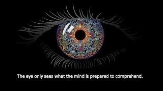 the eye sees only what the mind is prepared to comprehend