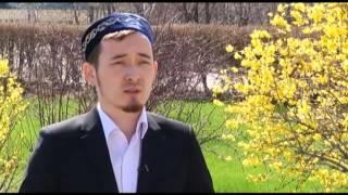Трусость. Болезнь и сицеление/Асыл арна