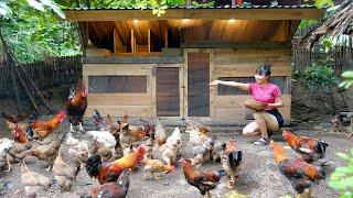 Full Video : 3 in 1 chicken coop idea | 3 year Alone LIVING OF GRID