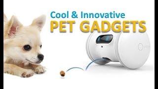 Gizmo Hub | 5 PET GADGETS THAT ARE COOL & INNOVATIVE