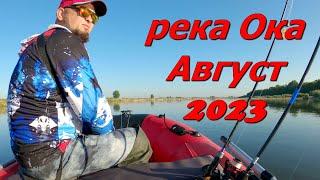 Рыбалка на Оке в августе 2023. Часть первая