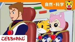 うんちが出るしくみ　ふしぎしらべたい【しまじろうチャンネル公式】