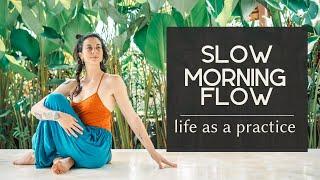 Life as a Practice ~ Slow Morning Yoga Flow | COLE CHANCE YOGA