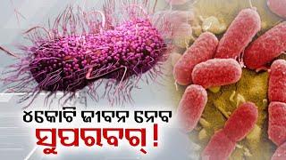 Superbugs may kill 4 crore people world wide || Kalinga TV