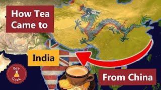 How Tea Came to India (From China via the British)