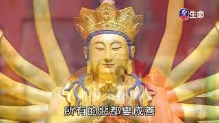 Eternal practice of compassion-2_Master Haitao Compassionate Propagation ..._(lifetv_20200412_07:30)