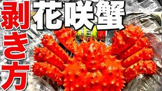 花咲ガニ 剥き方 根室名物幻のカニ 花咲ガニの剥き方 トゲトゲの見た目とは裏腹に濃厚まろやかな味わいとカニ身の独特な旨味は花咲ガニだけ 魚屋が教える簡単な花咲ガニの剥き方を大公開 | ウオスちゃんねる