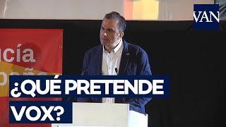 [ELECCIONES ANDALUCÍA] ¿Qué dice el programa de Vox?