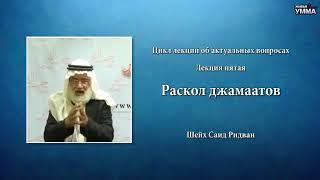 Раскол джамаатов. Шейх Саид Ридван. 5 лекция