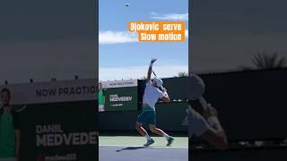 Novak Djokovic serve slo-Mo in Indian Wells