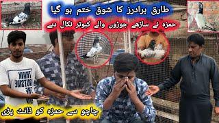 Hamza ne Sare breeder kabootar Nikal Diye // Tariq Brothers Ka shoq khatam ho gya