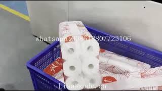 ZODE FEXIK PE LDPE Film Kitchen Towel Paper Rolls Packing Making Production Line