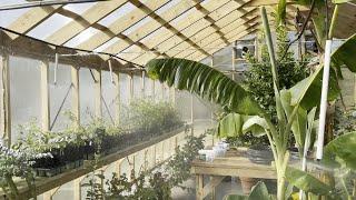 Inside Our $40,000 Greenhouse: A Guided Tour