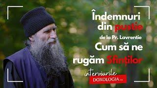 Îndemnuri din pustie, de la Pr. Lavrentie: cum să ne rugăm sfinților și de ce să-i cinstim?