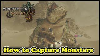 How to Capture Monsters in Monster Hunter Wilds (Tips on How to Capture Monsters in MH Wilds)