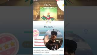 I maxed out my HUNDO Hawlucha!  #pokemongo  #pokemon  #hawlucha  #hundo  #maxedout  #pokemongofest