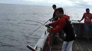 TCE TACKLES Pro Fishing Team