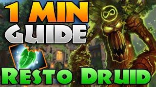 QUICK Resto Druid GUIDE for The War Within m+ | Grove in 1 Minute!