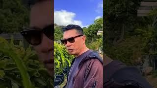When to fertilize your Dragon Fruit? / Bud and Bloom
