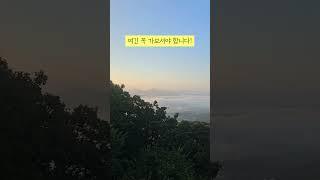 ️ 가을 여행 명소의 최강자! 여길 모른다구요? #국내여행 #차로올라갈수있는산 #운해 #일출명소