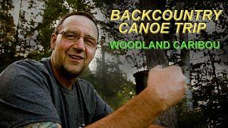 BACKCOUNTRY CANOE TRIP | WOODLAND CARIBOU | with PINETREE LINE OUTDOORS