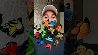 Butterfly challenge  #viralvideo #75dayshardchallengecomplete #mrbeast #motivation