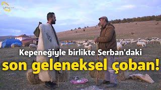 Kepeneğiyle Birlikte Serban'daki Son Geleneksel Çoban! - Çobanın Sesi