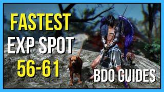 Fastest EXP Grinding Spots 56 - 61 | Black Desert Online Guides