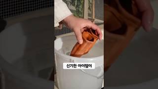 여행가기 전 화분에 이것만 꽂아두세요