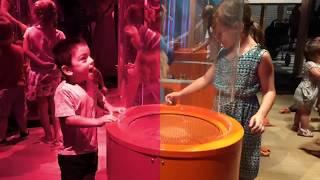 Scienceworks - Ground Up