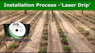 Installation of Laser Drip Irrigation System