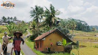 Aktivitas petani siang hari di pedesaan pedalaman Subang Jawa barat,pedesaan indonesia,