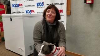 K105 Pet of the Week