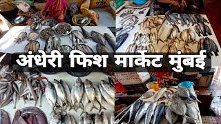 Andheri Fish Market In Mumbai Fish Market Andheri West 2023 Fish Market