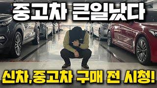 중고차 시장의 현재 상황 신차,중고차 구매 전 꼭 시청하세요 !