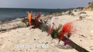 Seatrout  Bornholm Meerforelle Spring 2018