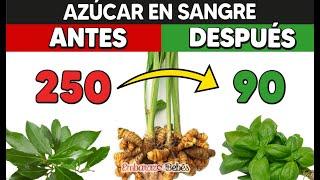 5 PLANTAS para BAJAR EL AZÚCAR EN SANGRE Rápido  Remedios naturales contra la Diabetes