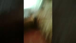 Обзор комнаты, а в конце смешные