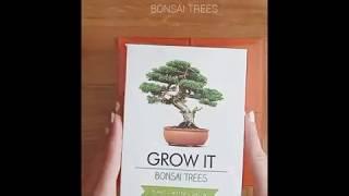 Grow it yourself  - Bonsai Trees