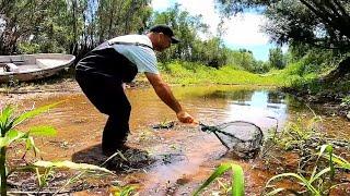 Exploro la isla y recolecto peces para pecera gigante. ACUARIO URBANO, PESCA URBANA