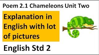 English Std 2 Poem Chameleons Rashmi Sudev, Poem Chameleons Rashmi Sudev, Class 2 Poem Chameleons,