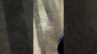 Joging