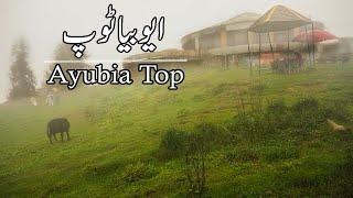 Ayubia Trip | Murree Galiyaat | Travel Pakistan