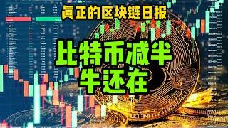 区块链日报（415）比特币减半牛还在