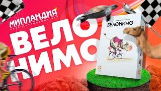 Игра «Велонимо», правила