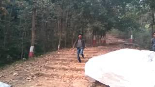 Reverse in Motion
