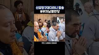 부처님 열반지에서 함께하는 신묘장구대다라니 합송  #박준상 기자  [#상월결사vlog] 3.9목