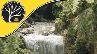 Model Scenery Made Easy | Woodland Scenics