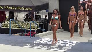 Muscle beach bikini contest